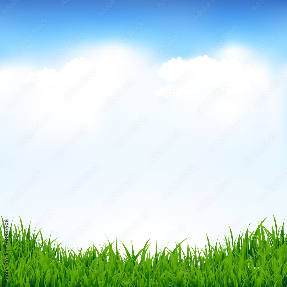 Blue Sky And Greeen Grass