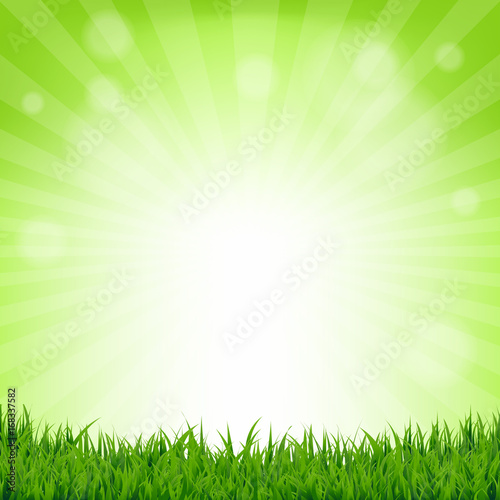 Grass And Bokeh Nature Poster