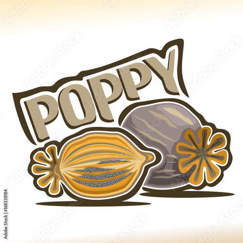 Vector logo for Poppy pod: cut half of dried layered poppyhead with seeds, whole grey poppy bud head, poster for opium plant with title text - poppy, label for natural ingredient for culinary baking.