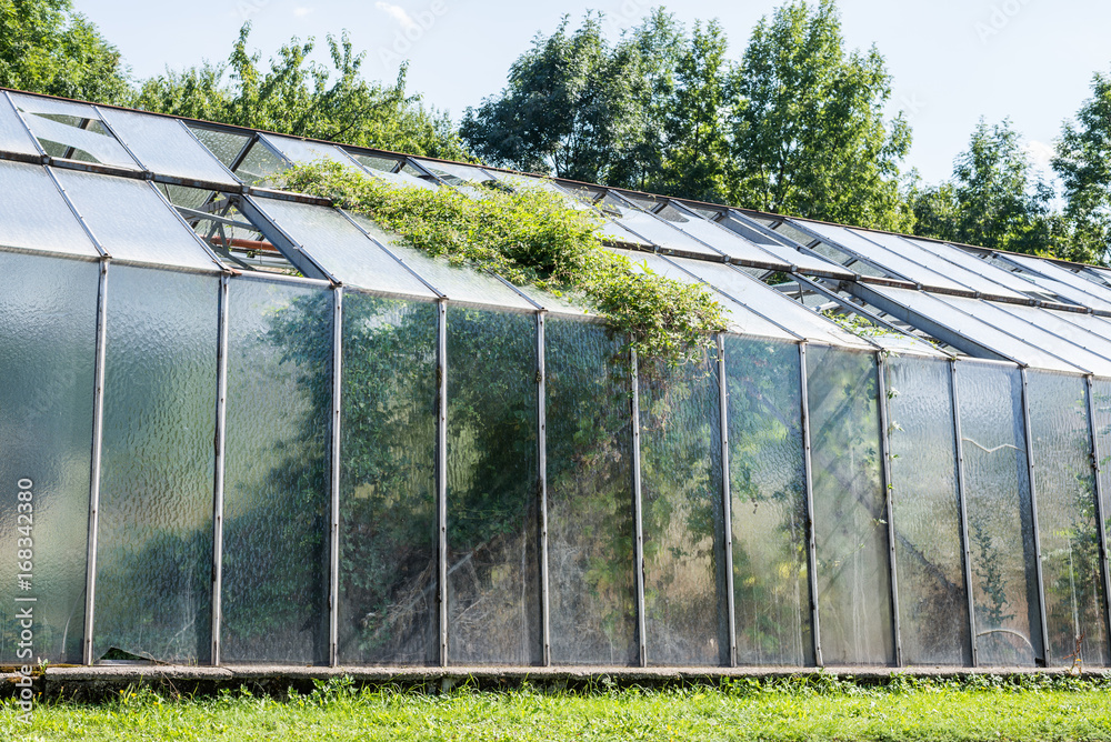 old damaged greenhouse old damaged greenhouse