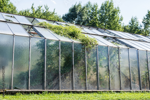 old damaged greenhouse © Christian Camus