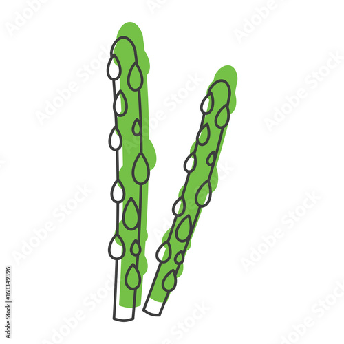 Asparagus doodle icon vector illustration for design and web isolated on white background