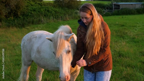 young woman and her horse at sunset in a field