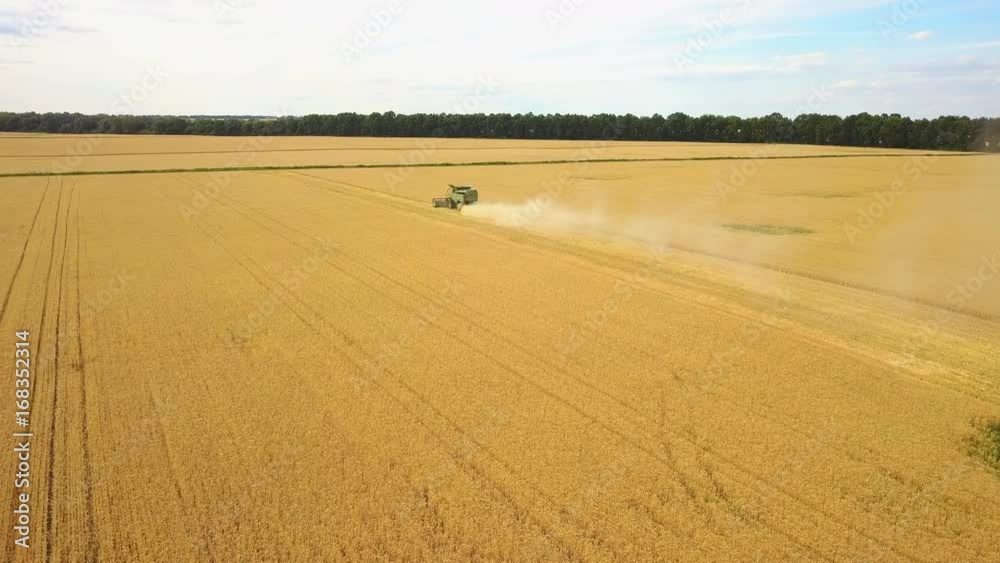 Flying above wheat field. Combine harvesting wheat grain. Agriculture landscape - Aerial view Flying above wheat field. Combine harvesting wheat grain. Agriculture landscape - Aerial view