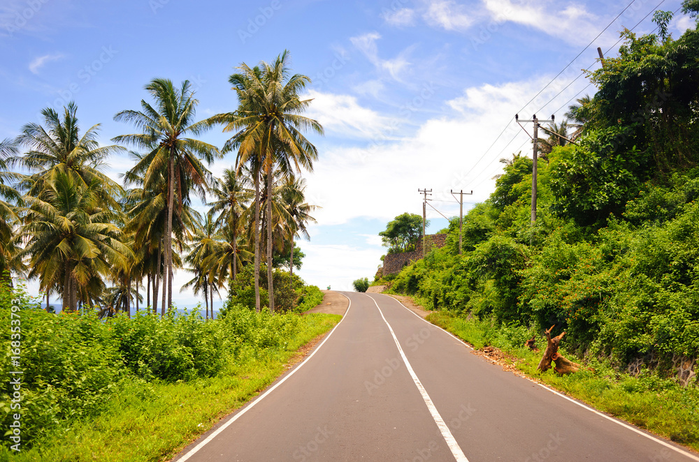 Wide empty asphalt road surrounded by palm trees and mountains along the seashore