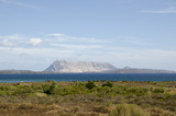 Isola Tavolara Sardegna