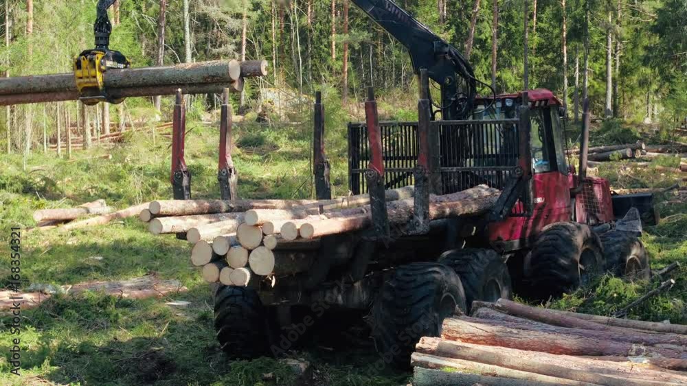Sky view logging truck working in forest. Destruction coniferous forest Sky view logging truck working in forest. Destruction coniferous forest