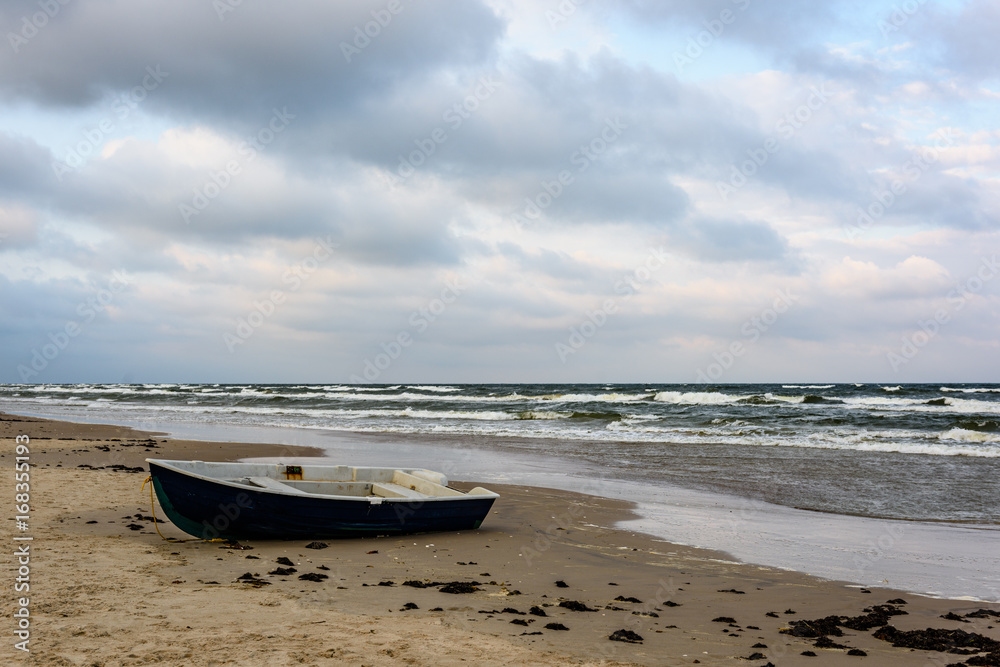 View of a stormy beach in the morning with lonely trees