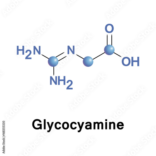 Glycocyamine metabolite of glycine photo