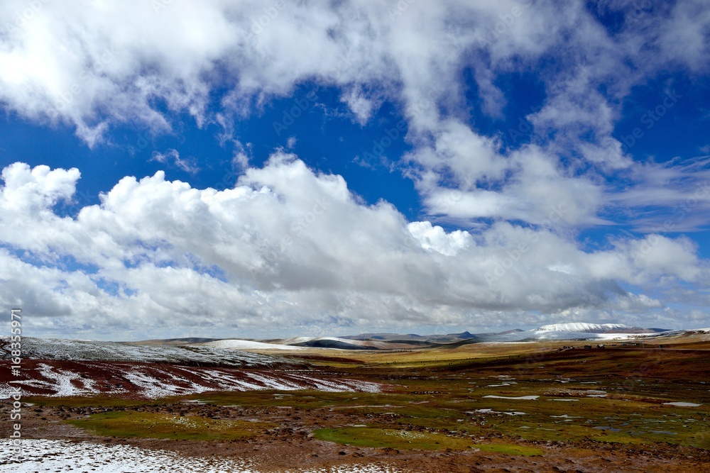 the highland