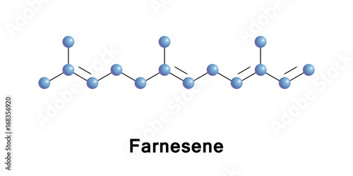 farnesene sesquiterpene photo