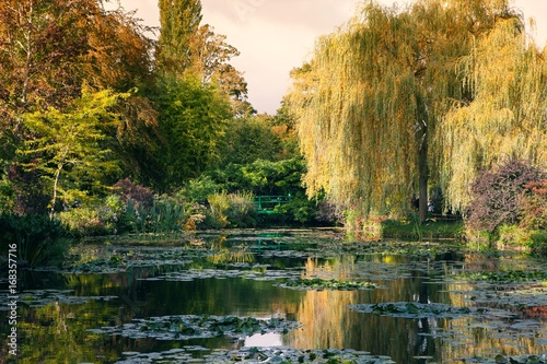 Fototapeta Naklejka Na Ścianę i Meble -  Claude Monet the garden in autumn, water lilies in the lake on a Sunny day
