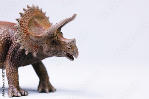 Dinosaurier Triceratops © Tanja Szymkowiak