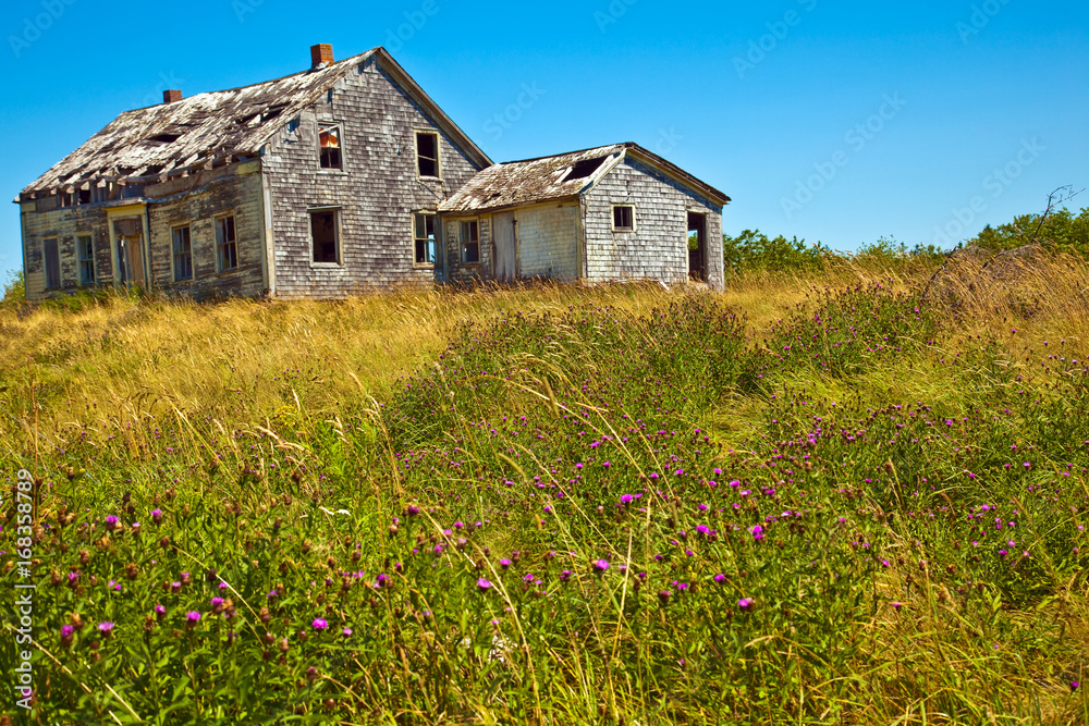 Abandoned House Abandoned House