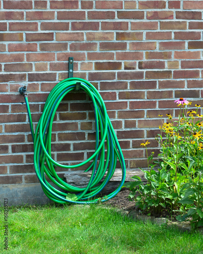 Garden hose hanging on a brick wall near flowers