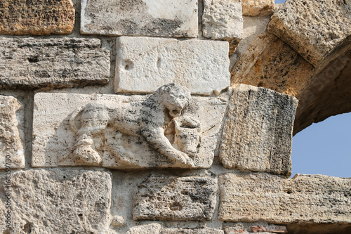 Fototapeta Naklejka Na Ścianę i Meble -  Lion Statue over Gate of Hierapolis Ancient City, Turkey