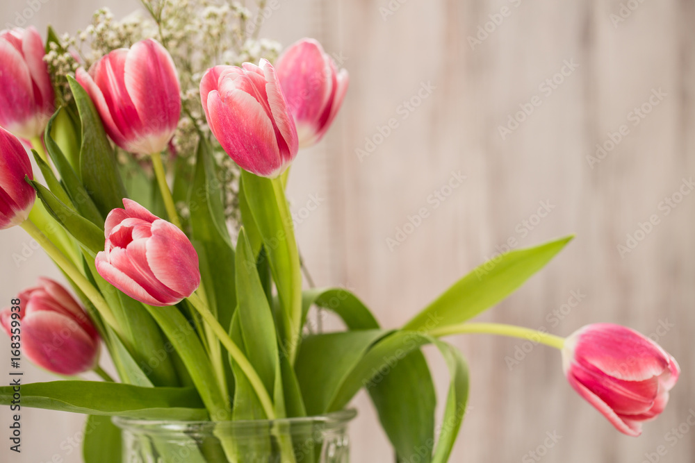 Fototapeta premium A Vase of Pink Tulips With One All Alone