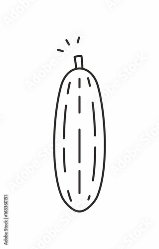Cucumber vector icon