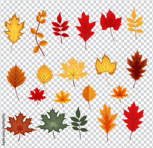 Abstract Vector Illustration with Falling Autumn Leaves on Trans