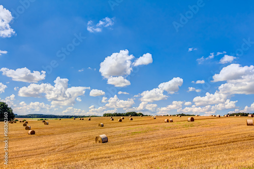 Straw bales on a field in summer