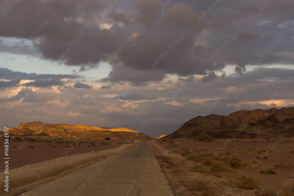 The asphalt road in the red sand dunes in Israel The asphalt road in the red sand dunes in Israel
