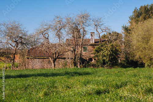 Camino Francés