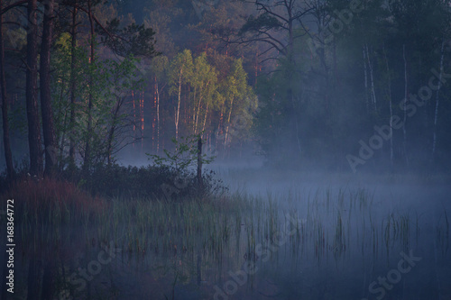 Jezioro w porannej mgle photo