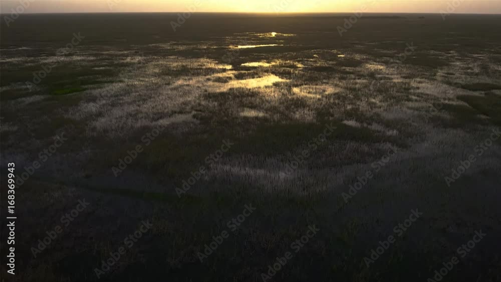 Fast Aerial Flight into Wetlands Fast Aerial Flight into Wetlands