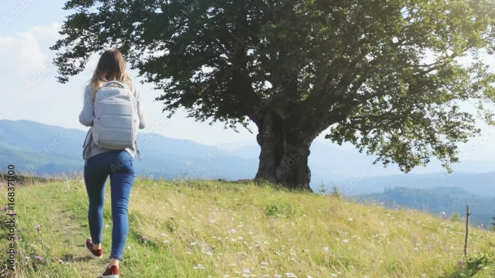 Young woman walking hiking grass peaks mountains using watching binoculars back view moving camera backpack summer vacation amazing landscape horizon freecare leisure hillside forest adventure camping Young woman walking hiking grass peaks mountains using watching binoculars back view moving camera backpack summer vacation amazing landscape horizon freecare leisure hillside forest adventure camping