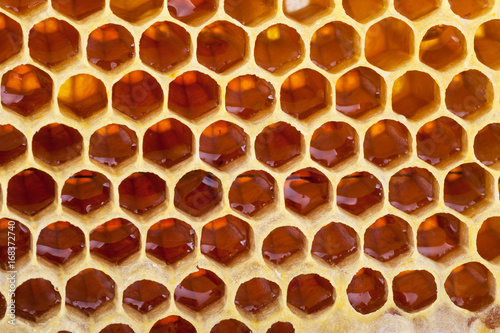 Honeycomb background