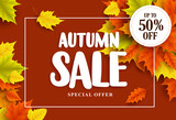 Autumn sale vector banner design with typography and colorful maple tree leaves elements in a background. Vector illustration.
