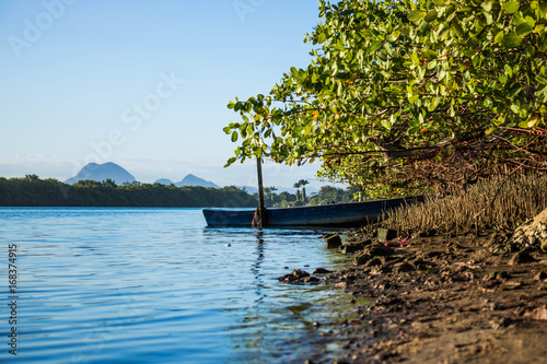 Mangue