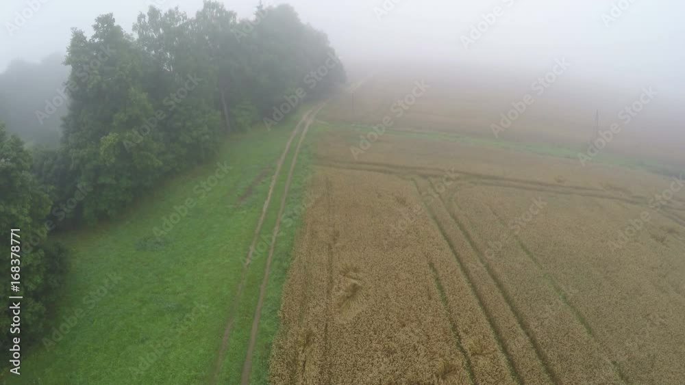 Drone flying over summer end early morning misty crop fields and trees, aerial view Drone flying over summer end early morning misty crop fields and trees, aerial view