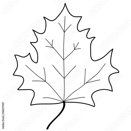Maple leaf mono sign 1.08
