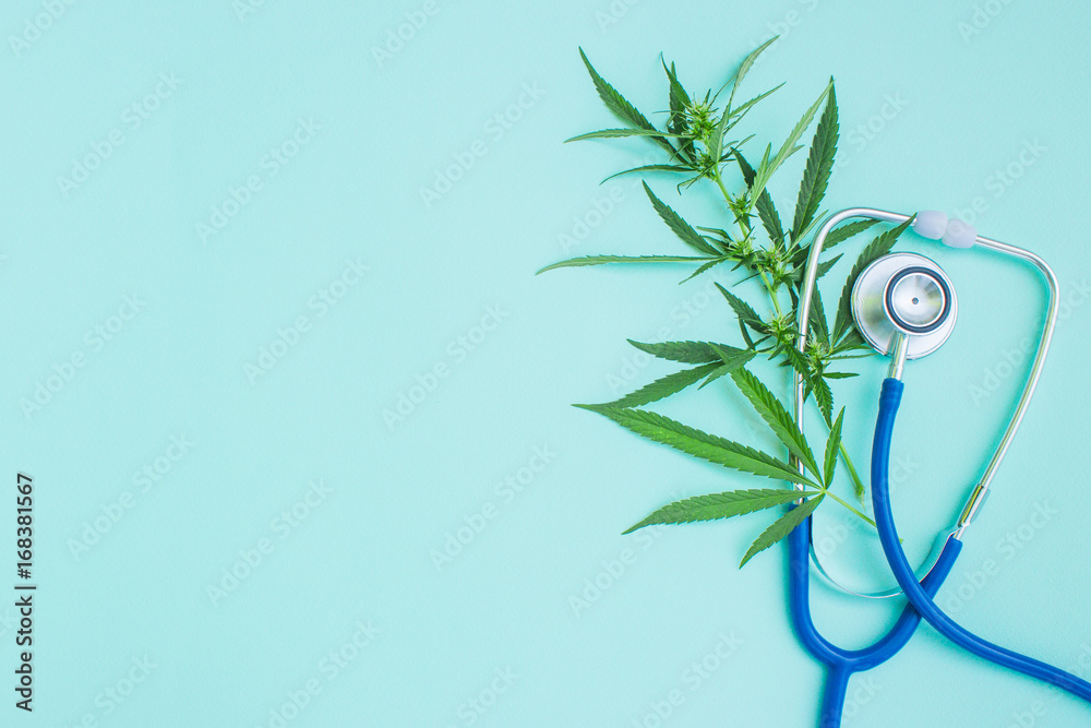 Medical marijuana and stethoscope. Green leaves of cannabis. Empty space for text - obrazy, fototapety, plakaty 