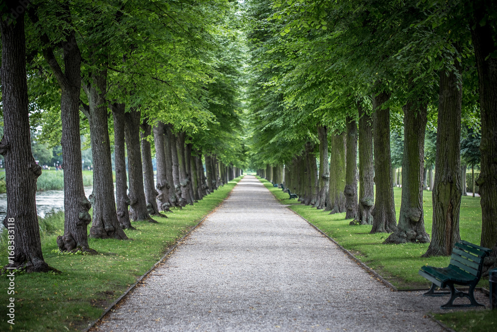 Allee in den Herrenhäuser Gärten in Hannover