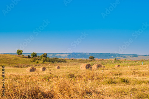 Haystacks in the field.