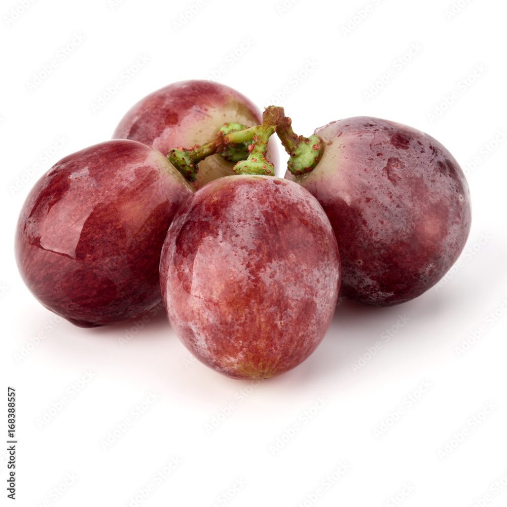 Fototapeta premium Red grape berry bunch isolated on white background cutout