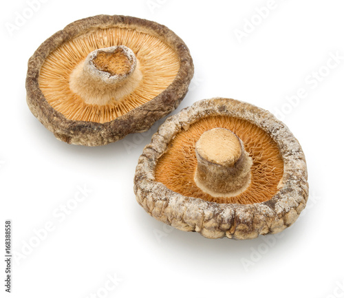 Dried Shiitake Mushroom isolated on white background