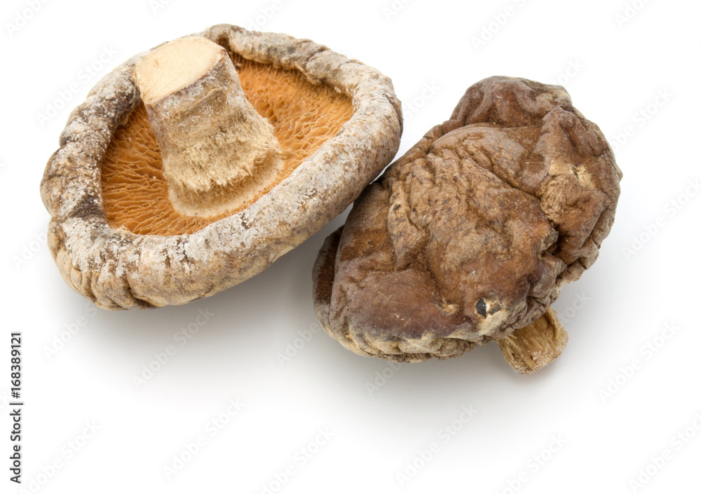 Dried Shiitake Mushroom isolated on white background Dried Shiitake Mushroom isolated on white background