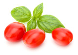 fresh plum tomato with basil leaf isolated on white background