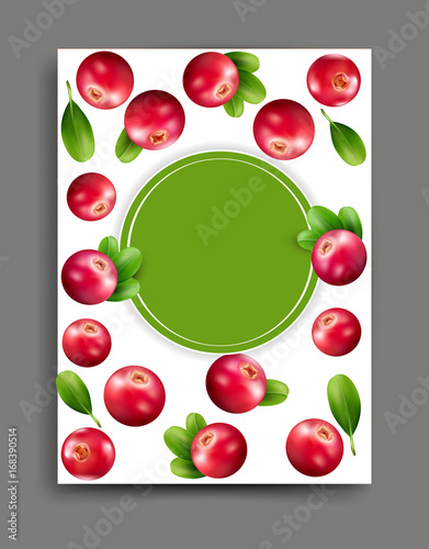 Vector lliustration with realistic cranberry isolated with frame and place for text Element for design, business, advertising, promotion of products, natural juices, cosmetics, food. 
