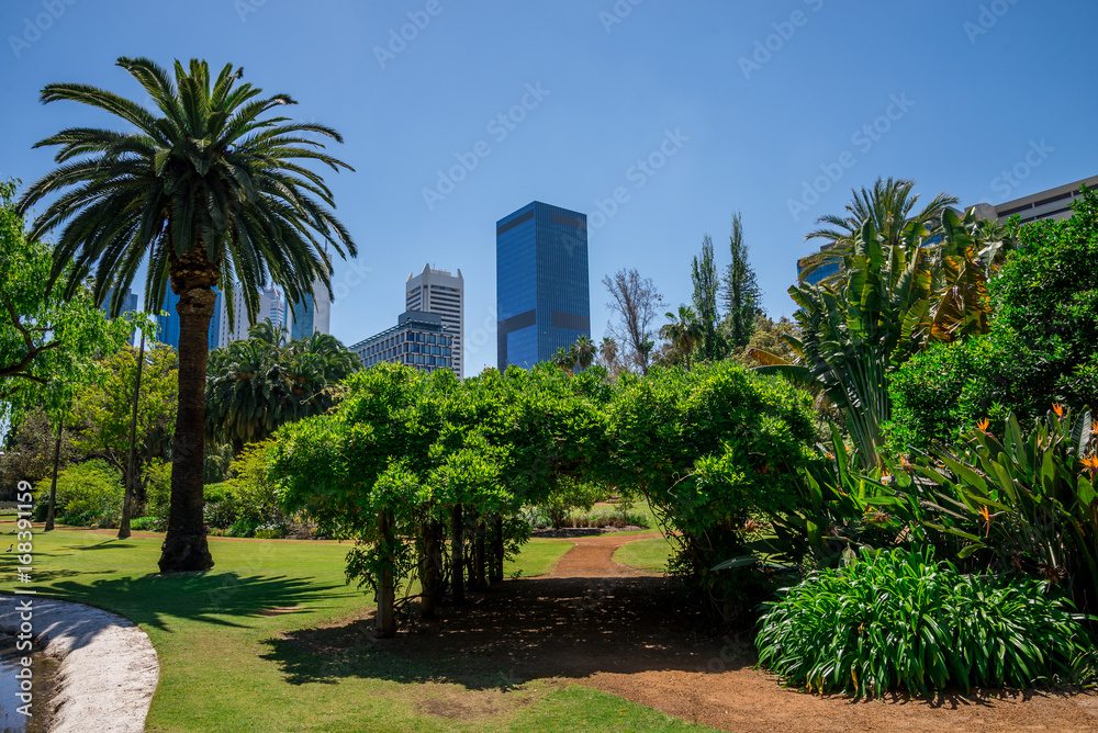 A view to Perth City from Government House landscaped gardens
