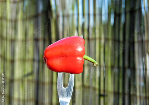 Rote reife Paprika steckt auf einem Grillspieß / Feauturebild „vegetarisches Grillen“ photo