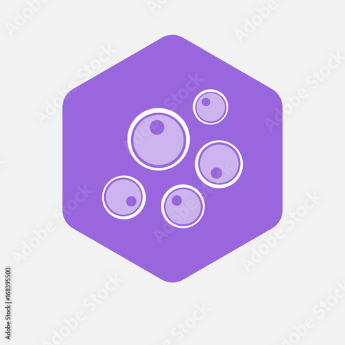 Isolated hexagon with oocytes