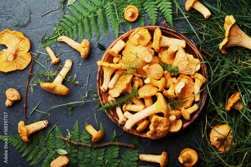 Yellow mushrooms chanterelle (cantharellus cibarius) in bowl decorated fern and forest plants on black kitchen table top view.