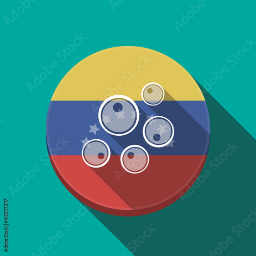 Long shadow Venezuela button with oocytes