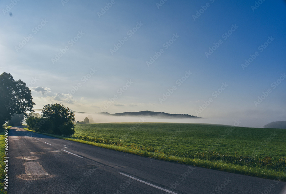 Fototapeta premium Foggy Morning