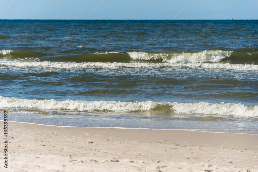 Beach and sand dunes and sea with a .branch