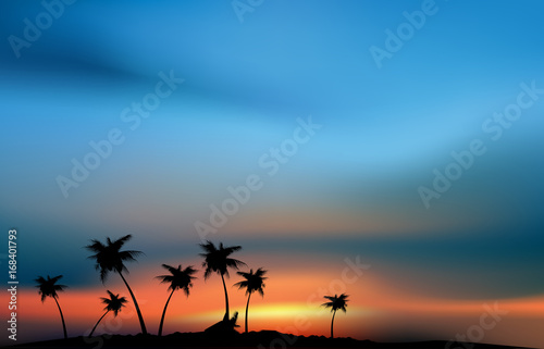 Tropical paradise in the sunset © Maurizio